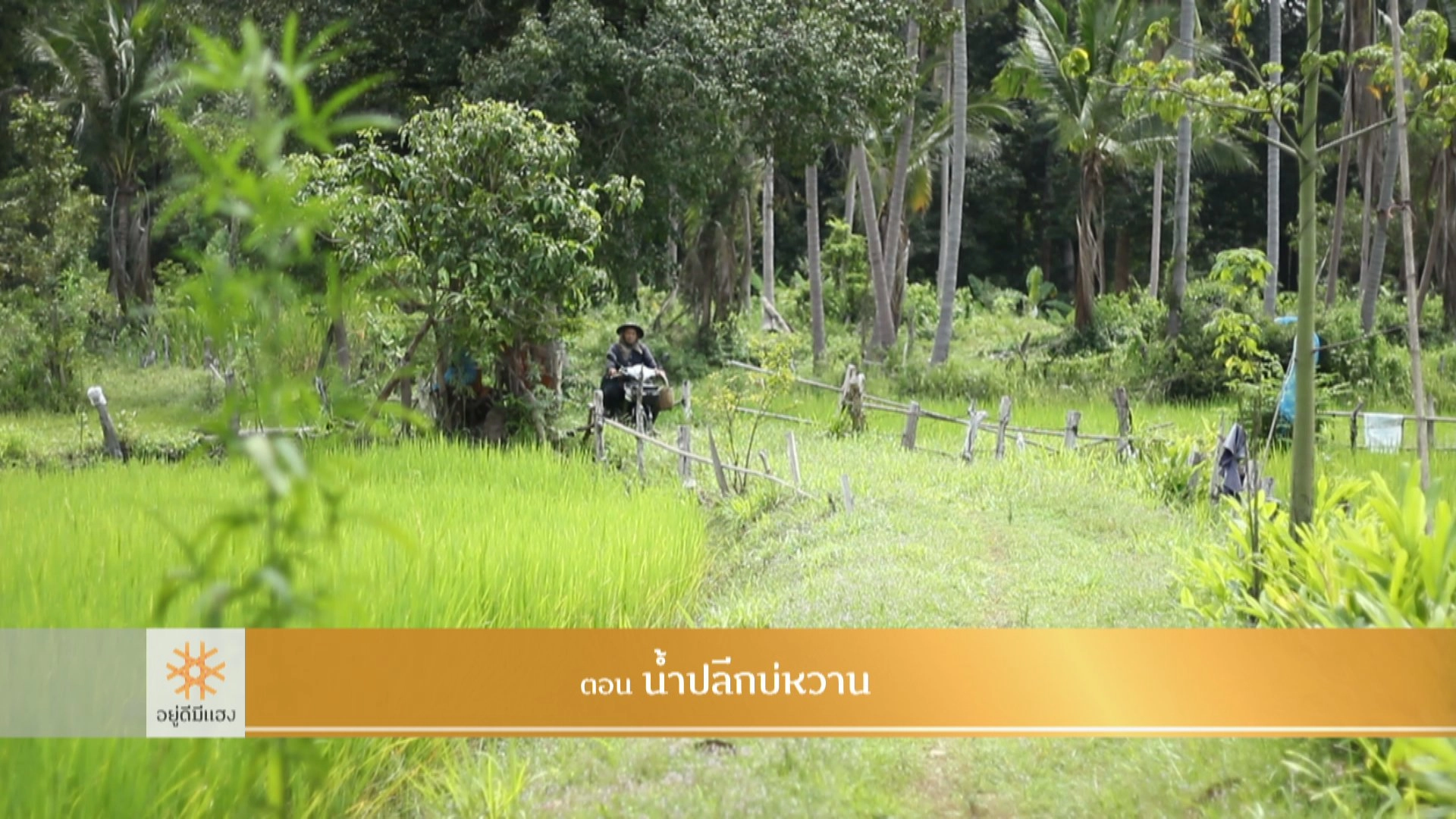 อยู่ดีมีแฮง