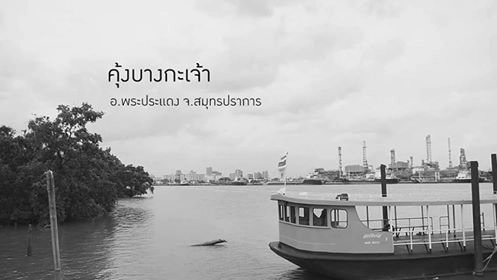 ชีวิตติดธรรมชาติ