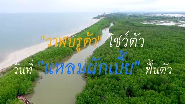 "วาฬบูรดา" โชว์ตัว วันที่ "แหลมผักเบี้ย" ฟื้นตัว