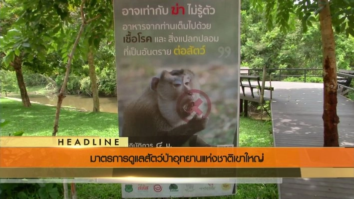 ประเด็นข่าว (7 มิ.ย. 59)