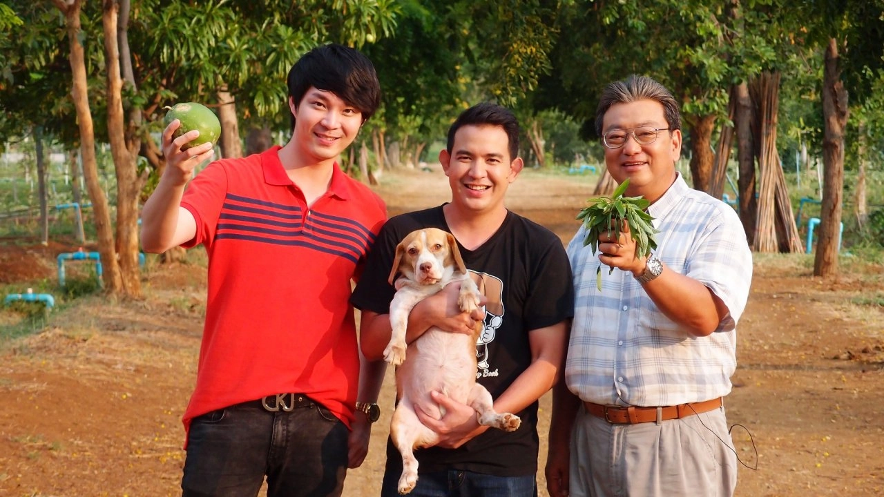 ผักโมโรเฮยะ เเละมะนาวยักษ์