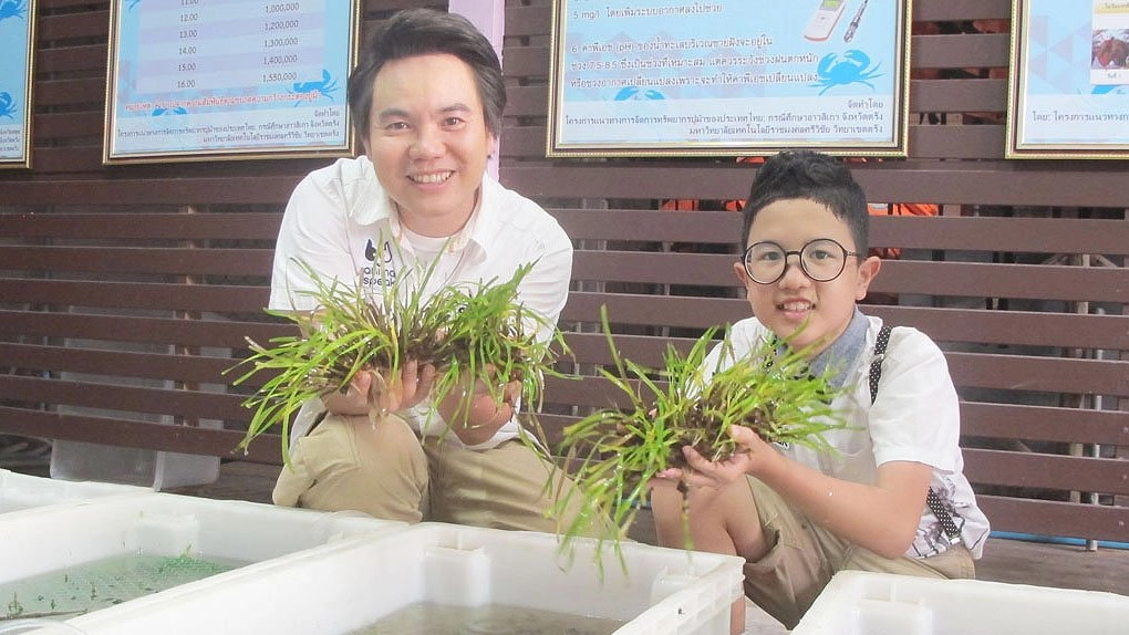 พะยูน...เงือกน้อยแห่งท้องทะเล ตอน 2