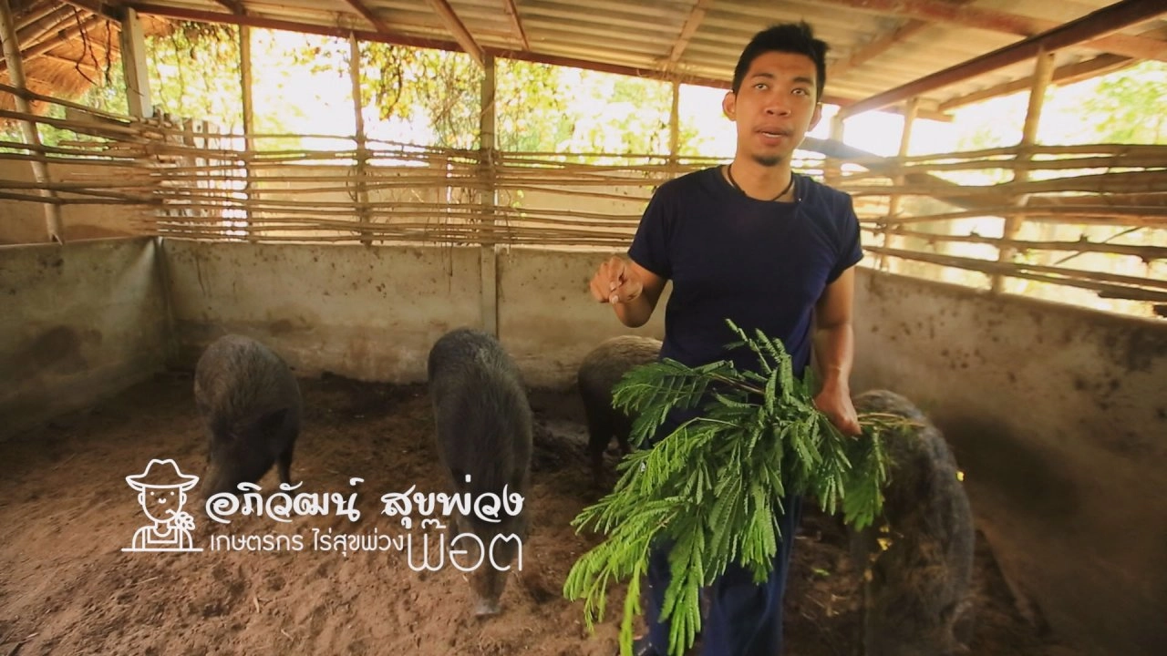 ตอนที่ 5