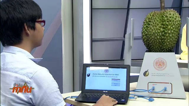 นวัตกรรมเครื่องวัดความอ่อน-แก่ทุเรียน