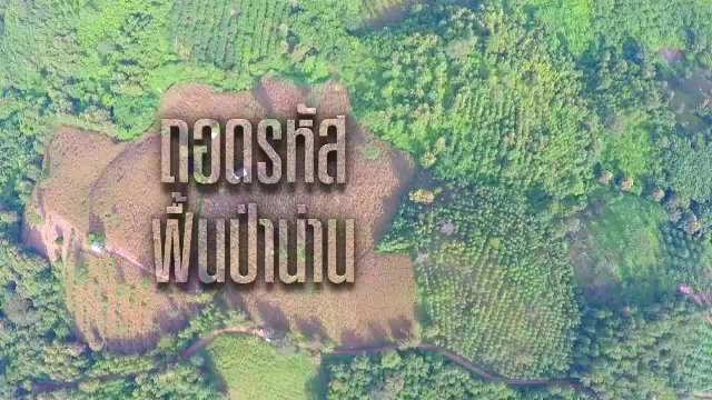 ถอดรหัส ฟื้นป่าน่าน