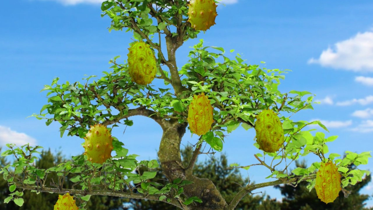 ผลไม้มหาภัย