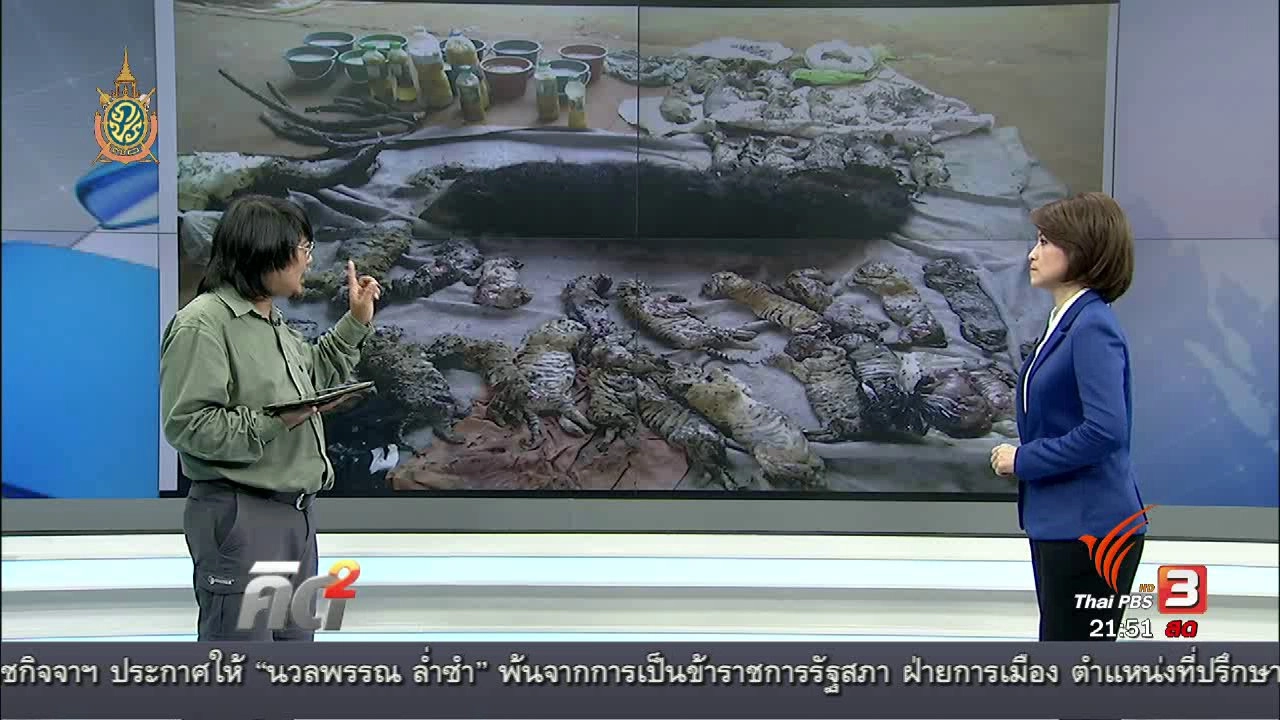 หลักฐานลักลอบค้าซากสัตว์ป่า ผ่านการย้ายเสือโคร่ง