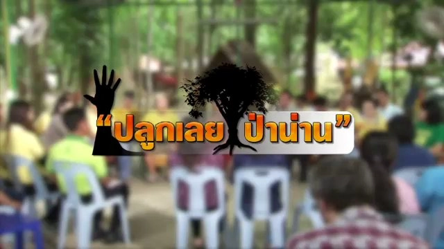 ปลูกเลย ป่าน่าน