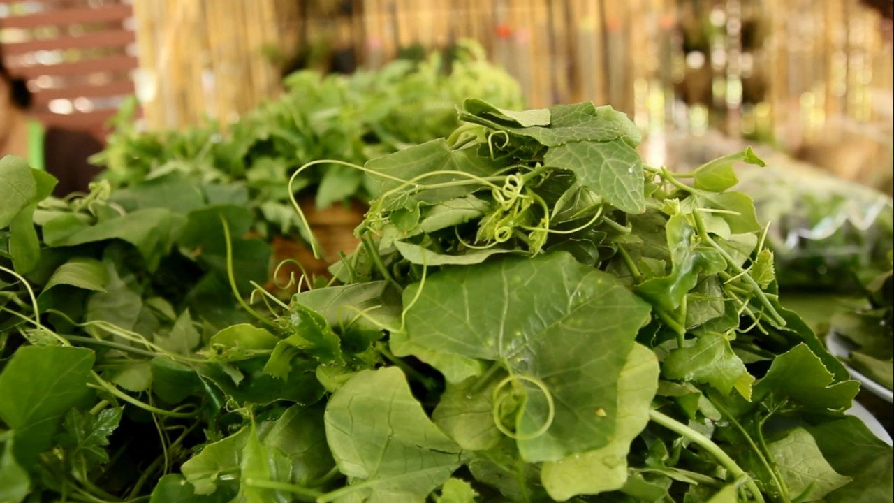 ภารกิจของคนกินผัก