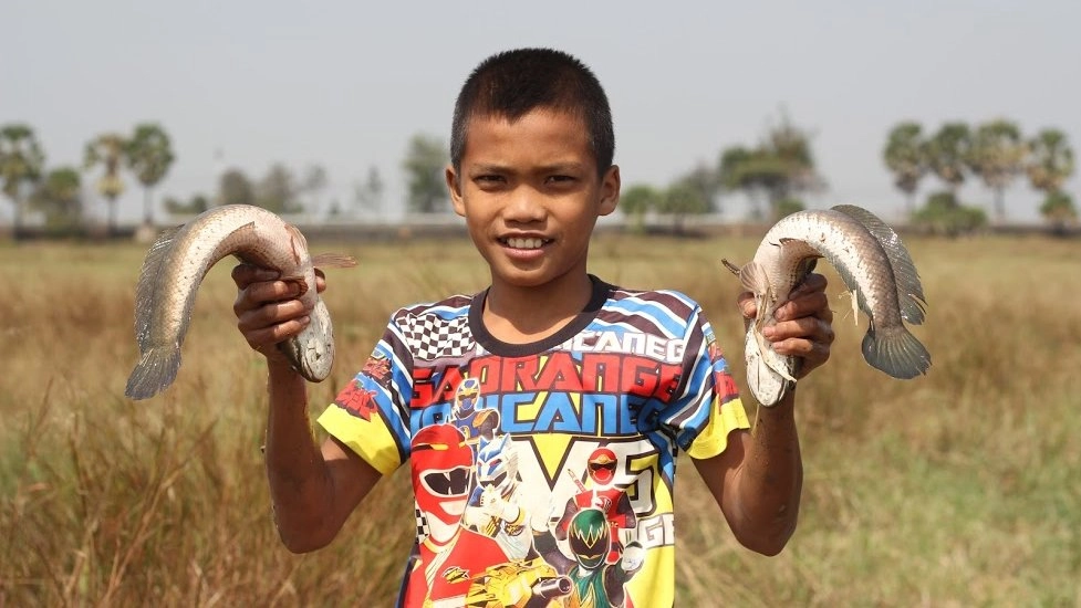 ครัวเชฟน้อย