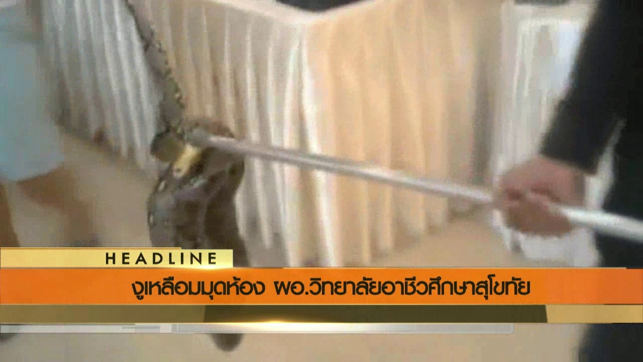 ประเด็นข่าว (17 มิ.ย. 59)