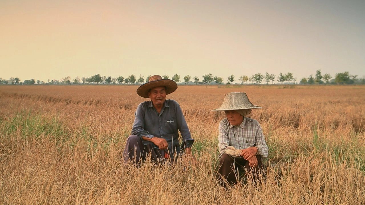 ตอนที่ 6