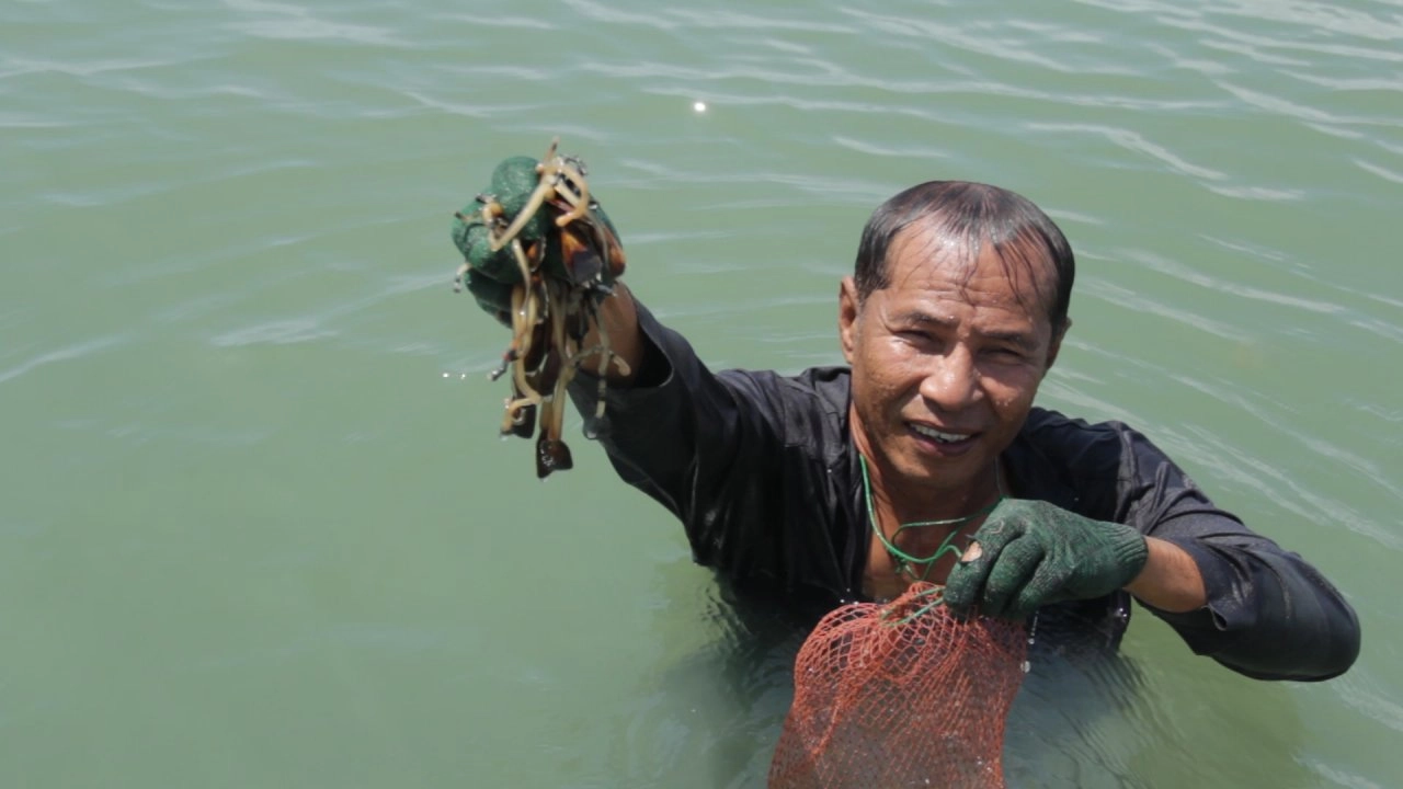 คนหาปลา