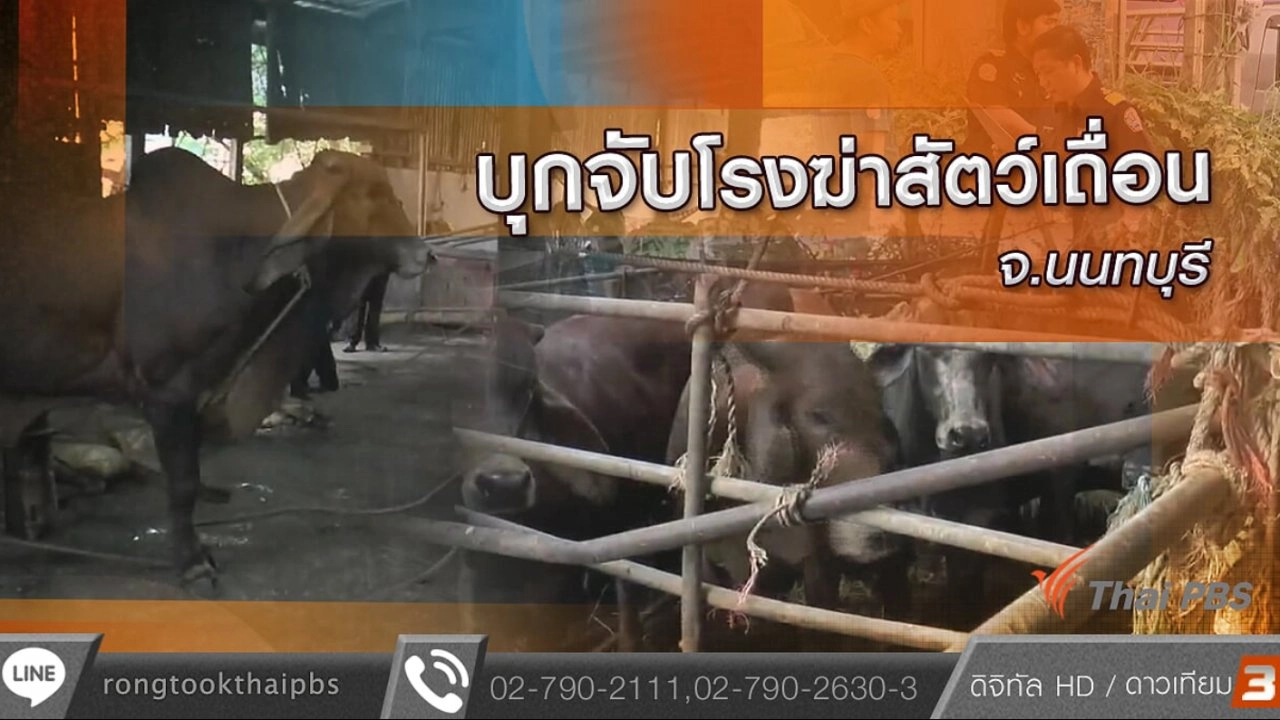 บุกจับโรงฆ่าสัตว์เถื่อน จ.นนทบุรี