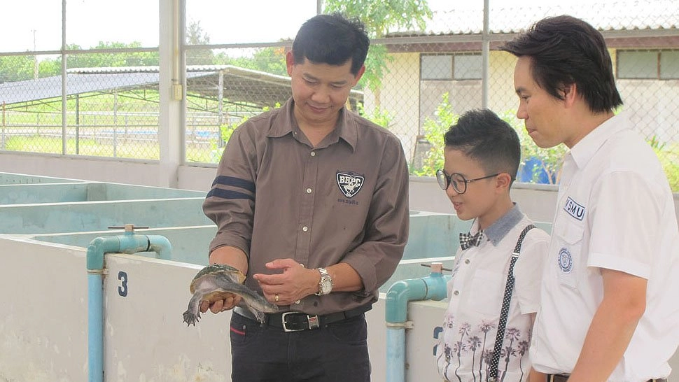 ตะพาบสัญชาติไทยกับวิกฤติใกล้สูญพันธุ์