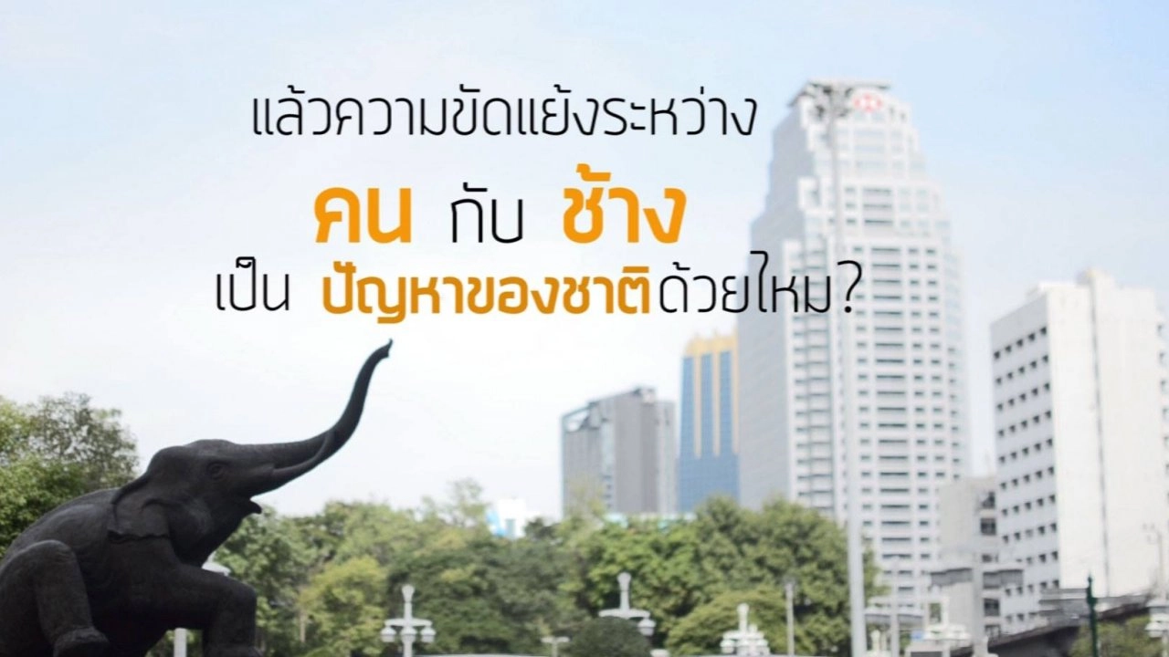 คน-ป่า-ช้าง