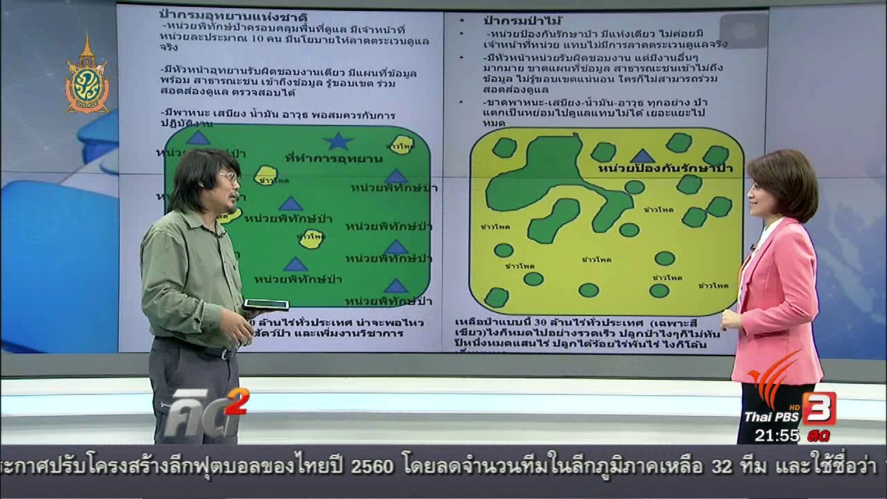 คนดังรณรงค์ จุดประกายเพิ่มผืนป่า