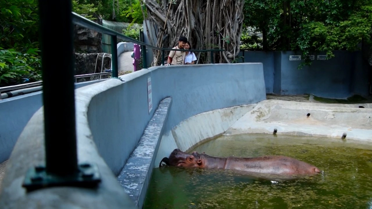 ประเด็นเด่น ( 25 มิ.ย. 59)