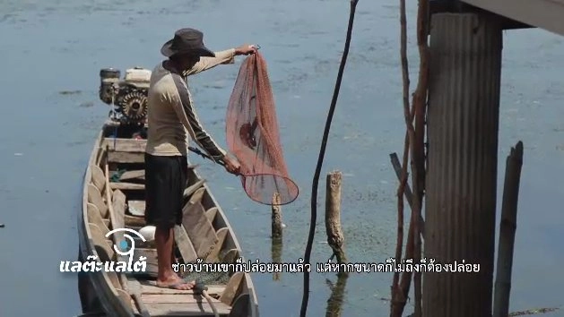 ‪ป.ปลา อนาคตที่วาดได้