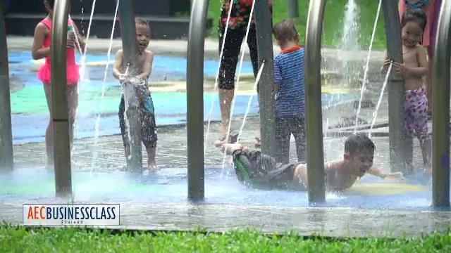 สวนสาธารณะเต้าด่าน,การลงทุนในเวียดนาม