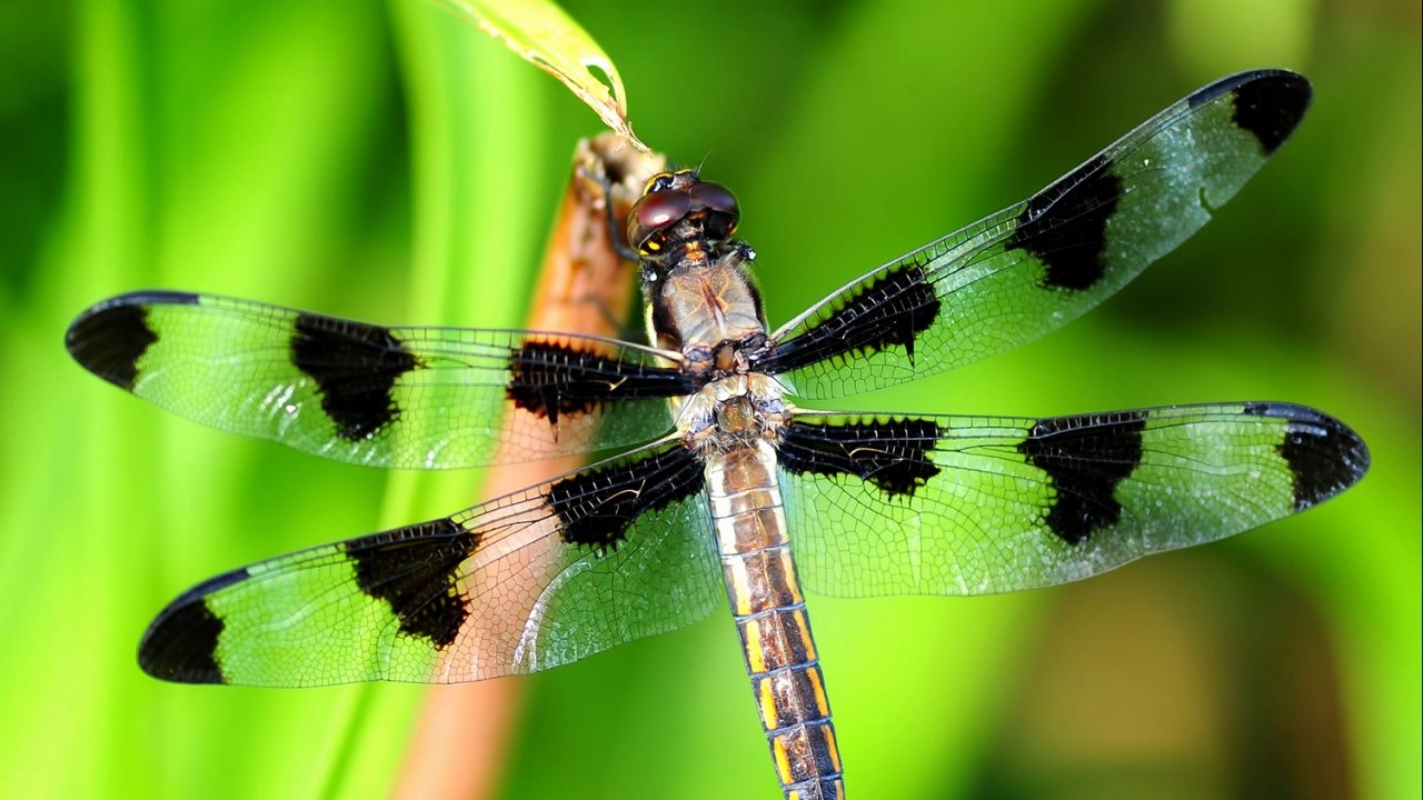 มหัศจรรย์การรับรู้ ตอน การรับรู้สุดพิศวง