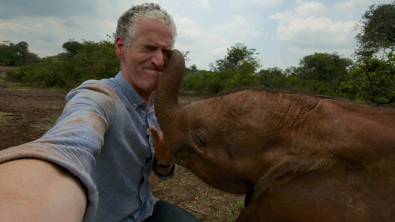 สุดยอดสัตว์แสนน่ารัก