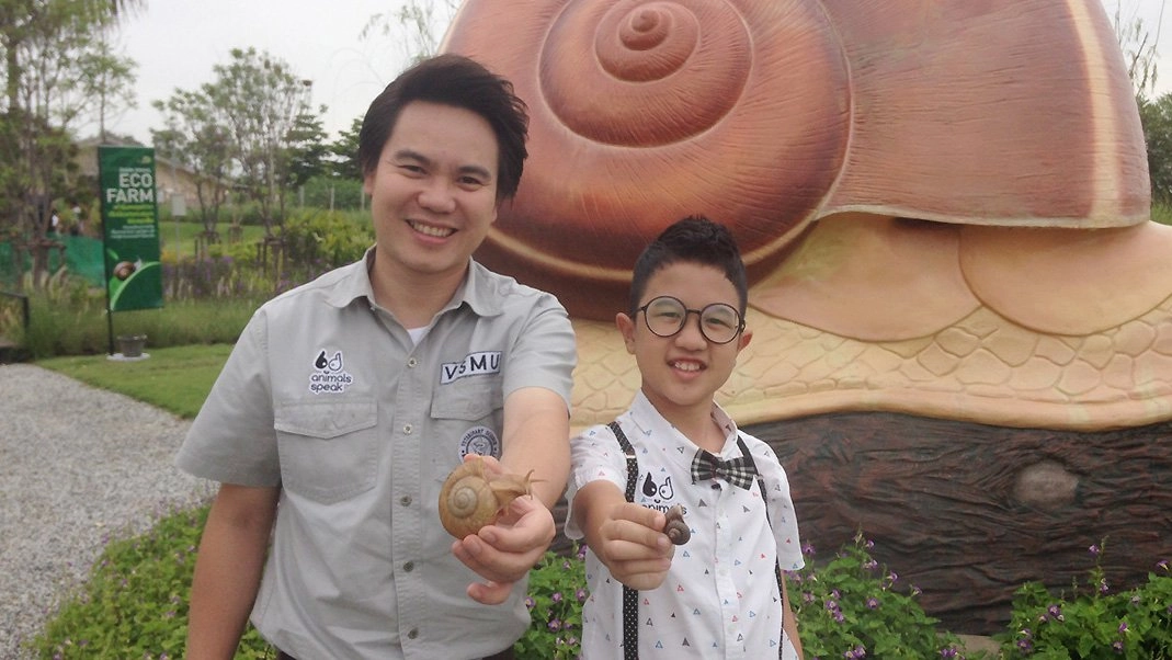 เมือกหอยทากไทย (คุณค่าที่คุณควรรู้!)