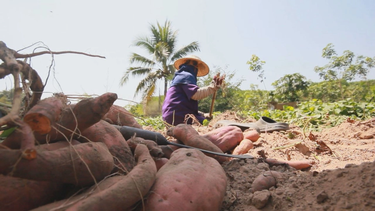 ภูมิภาค 3.0