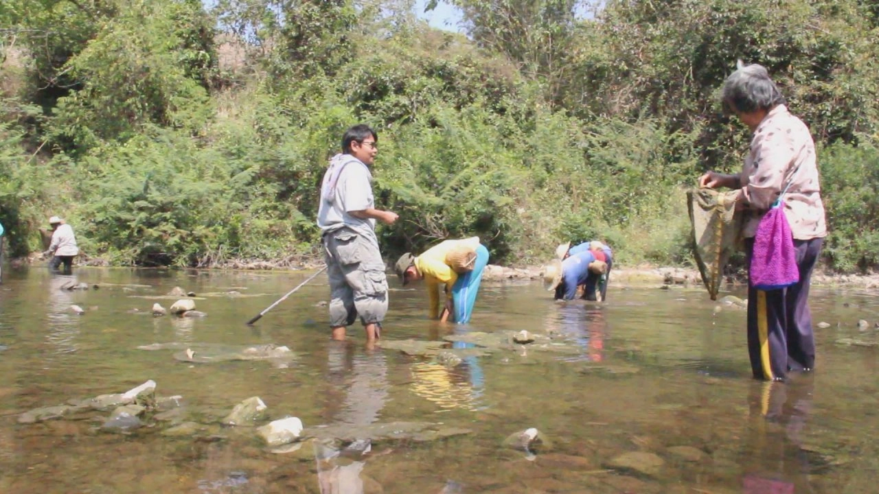 ไทพวนบ้านกลางแห่งแม่น้ำเลย​