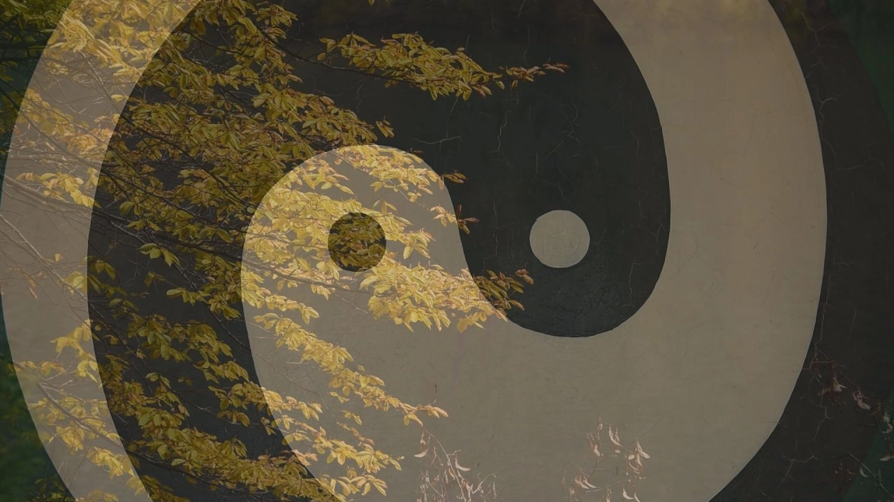 สมดุลหยินหยาง