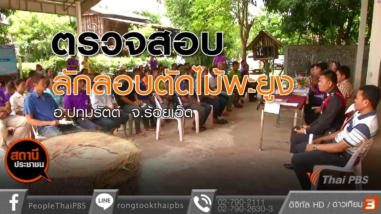 ​ลักลอบตัดไม้พะยูง อ.ปทุมรัตต์ จ.ร้อยเอ็ด