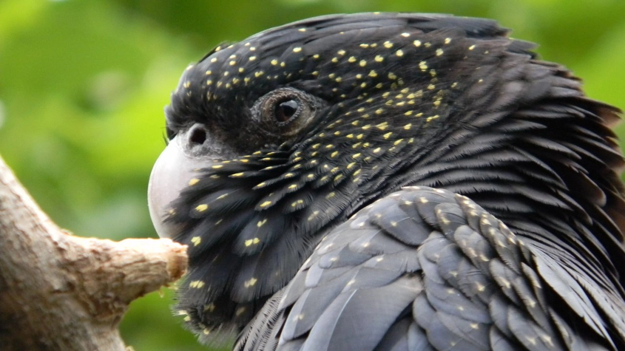 มหัศจรรย์การรับรู้ ตอน การมองเห็น