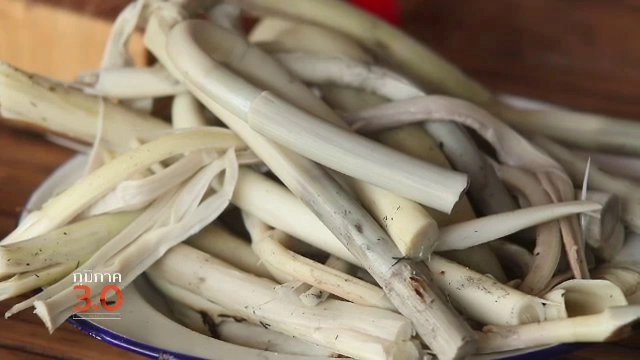 ขวัญใจเกษตรไอดอล, ศรีเจริญสีเขียว, เรือใหญ่ไล่เรือเล็ก