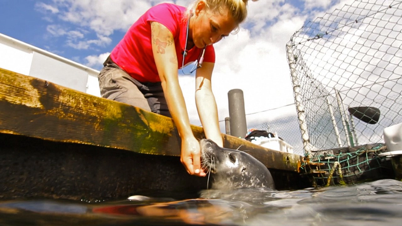 สัตว์โลกแสนรู้ ตอนที่ 4