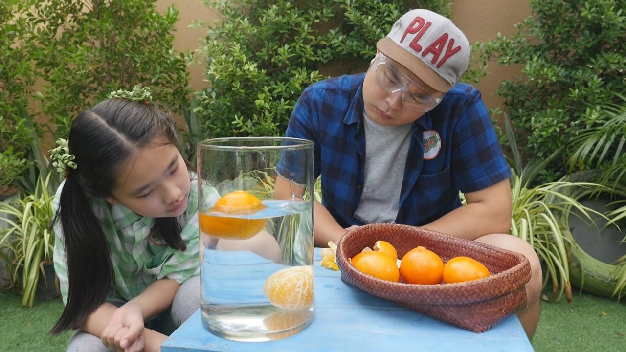 การลอย การจม