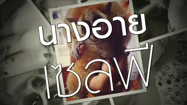 นางอายเซลฟี่