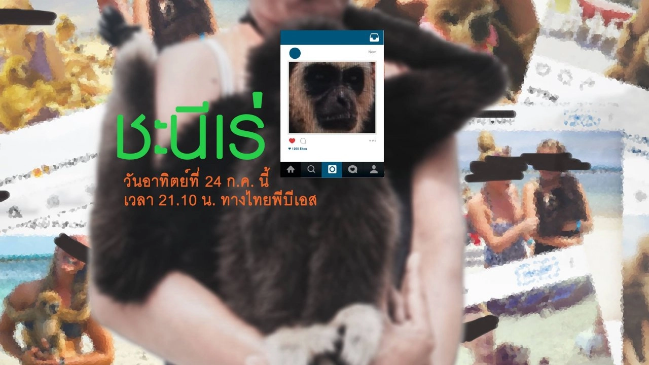 ชะนีเร่