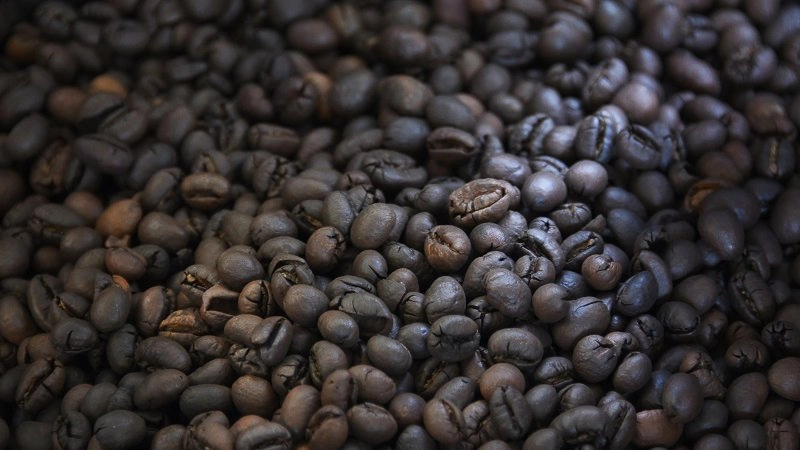 มรดกเมล็ดพันธุ์