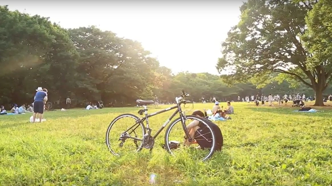 สวนป่ากลางเมือง ธรรมดาที่ไม่ธรรมดา