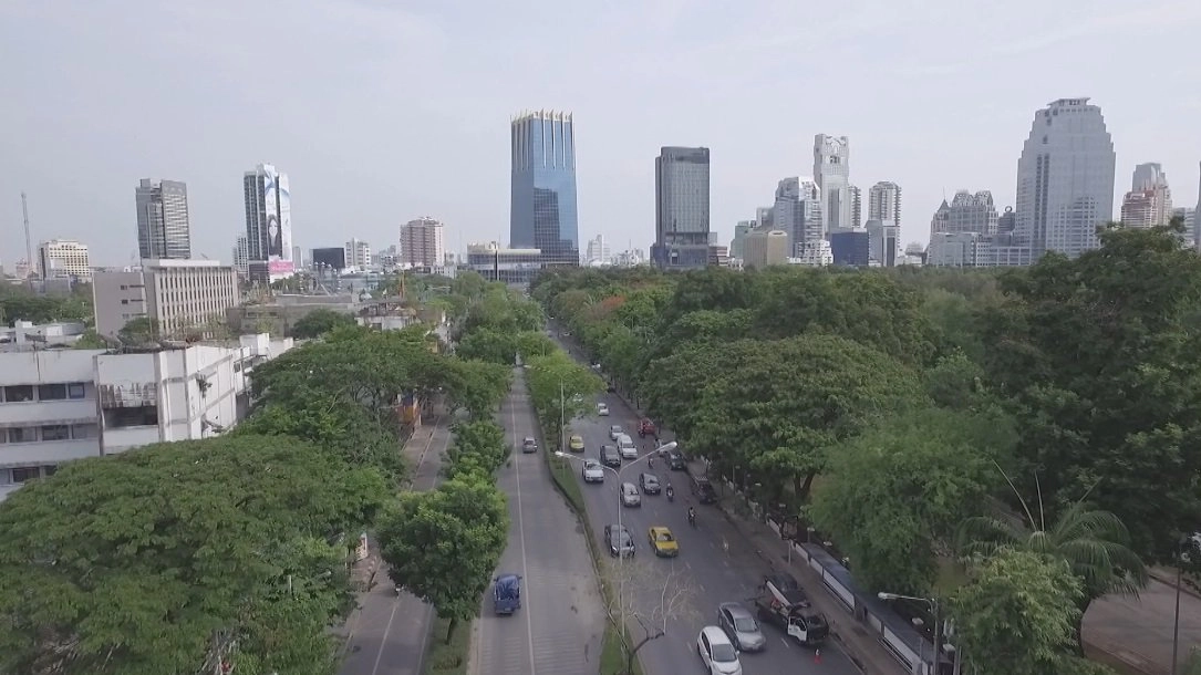 คน-เมือง-ต้นไม้