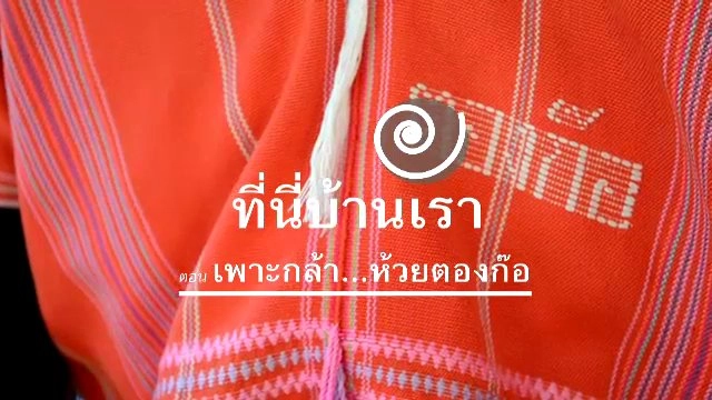 ​เพาะกล้า...ห้วยตองก๊อ