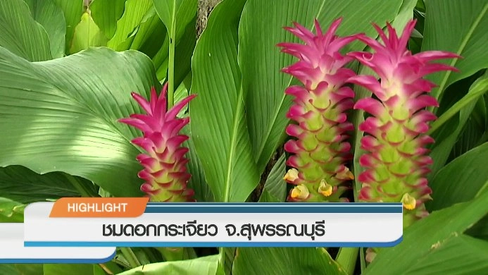 ประเด็นข่าว (4 ส.ค. 59)