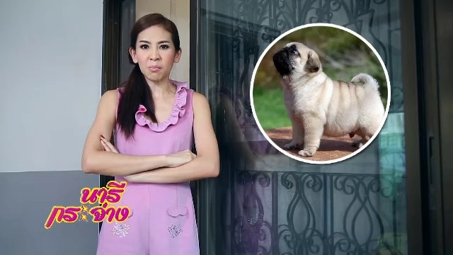 ดอกไม้สร้างรายได้นับแสน, ฮูลาฮูป เปลี่ยนโลก, ขึ้นลิฟต์เสี่ยงภัยโรคจิต