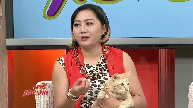 ครอบครัวแมวป่วน "ทูนหัวของบ่าว", หุงข้าวแฉะ แก้อย่างไรดี, สร้างสรรค์ลายผ้าด้วยแม่พิมพ์ไม้แกะสลัก