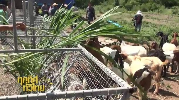 ทุกทิศทั่วไทย