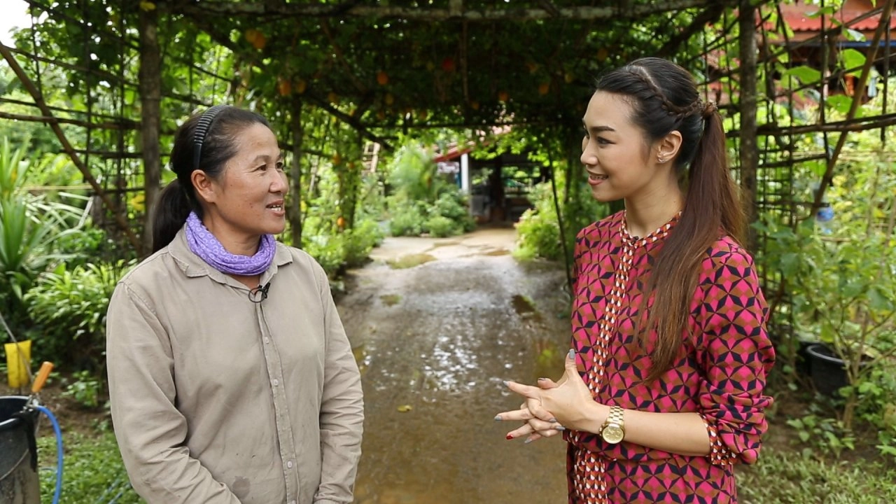 บ้านเมืองรวง ต้นแบบวิถีเกษตรอินทรีย์, ดื่มน้ำกระเจี๊ยบเขียวลดไขมัน