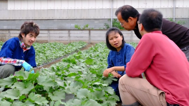 เกษตรกรไทย บุกไปญี่ปุ่น ตอน 1