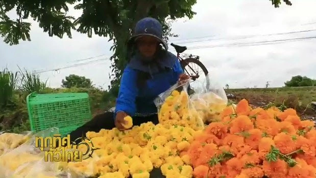 ประเด็นข่าว (10 ส.ค. 59)