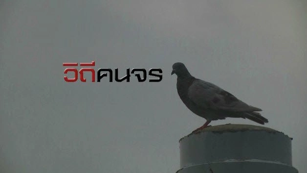 วิถีคนจร