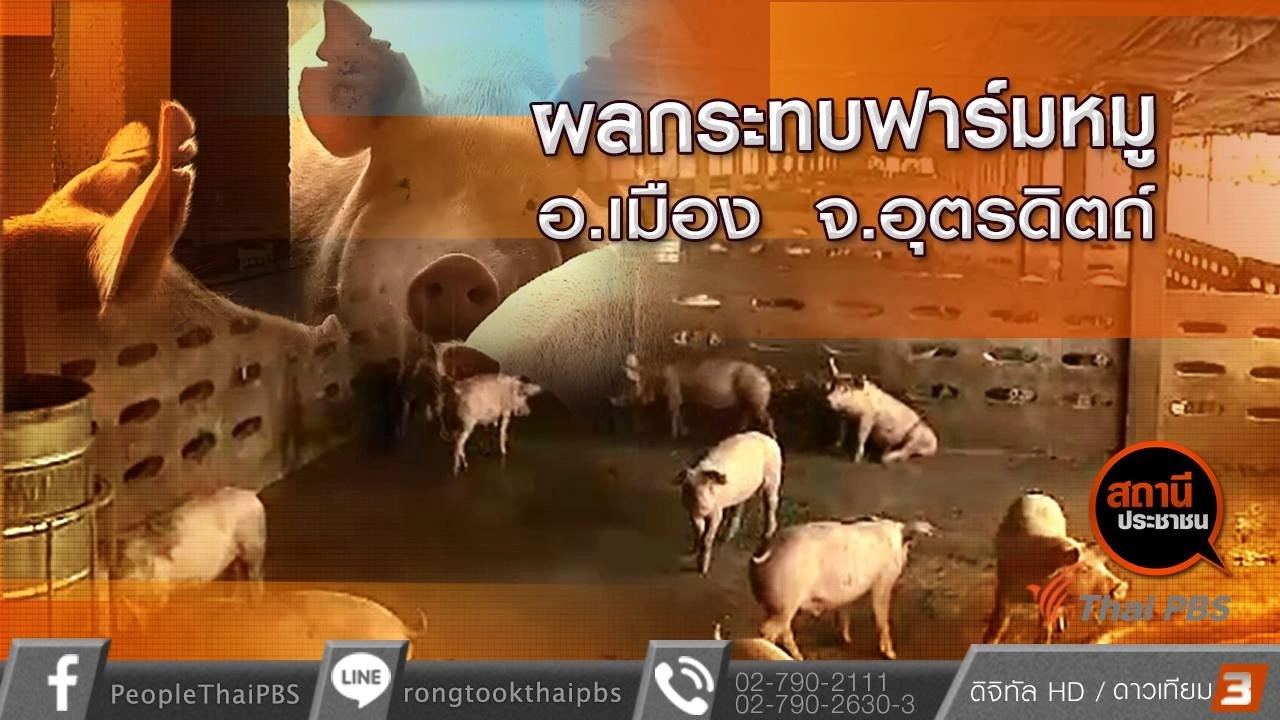 ​ผลกระทบฟาร์มหมู อ.เมือง จ.อุตรดิตถ์